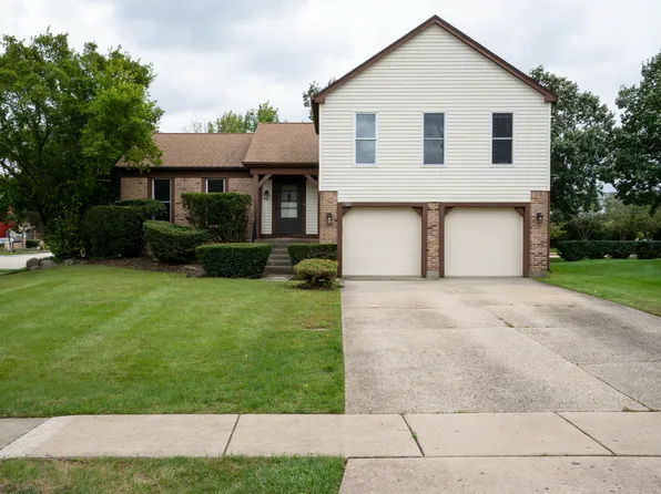 1100 Gail Dr, Buffalo Grove, IL 60089