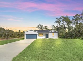 14 Fisher Loop Pass, Ocklawaha, FL 32179