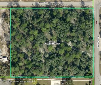 6317 Barclay Ave, Spring Hill, FL, 34609