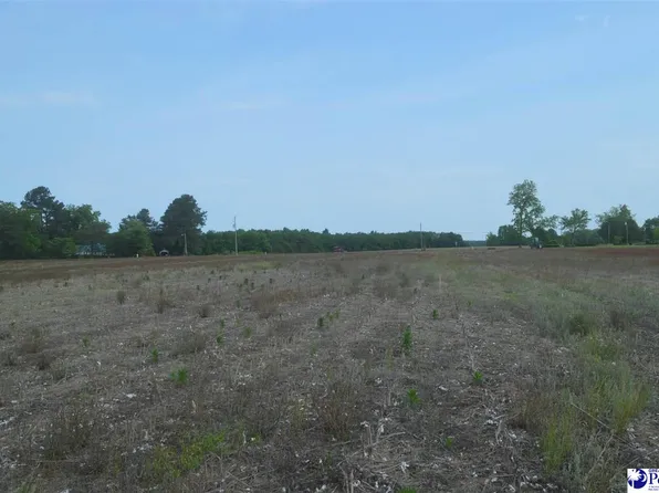 LOT 1 Byrdtown Rd, Hartsville, SC 29550