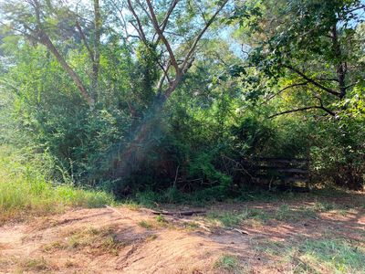 0 Big Four Rd, Wiggins, MS, 39577