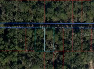 11 & 12 NW 57th Ln, Chiefland, FL 32626