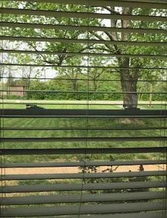 VIEW OUT FRONT WINDOW