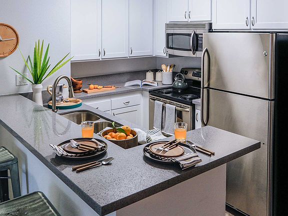 Gourmet kitchen fully-equipped with stainless-steel, energy efficient appliances