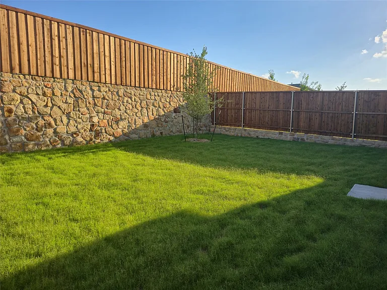 Backyard Privacy Fence