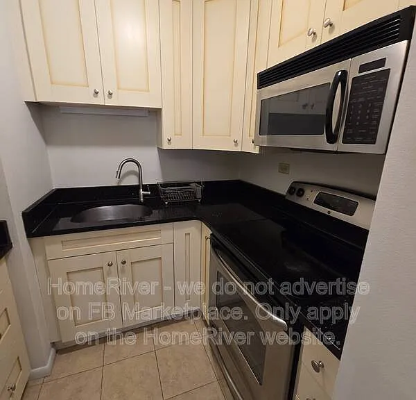 21 W Goethe St #4E — Photo 7