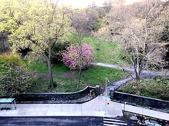 Rented by Mahan Realty Management Corp.