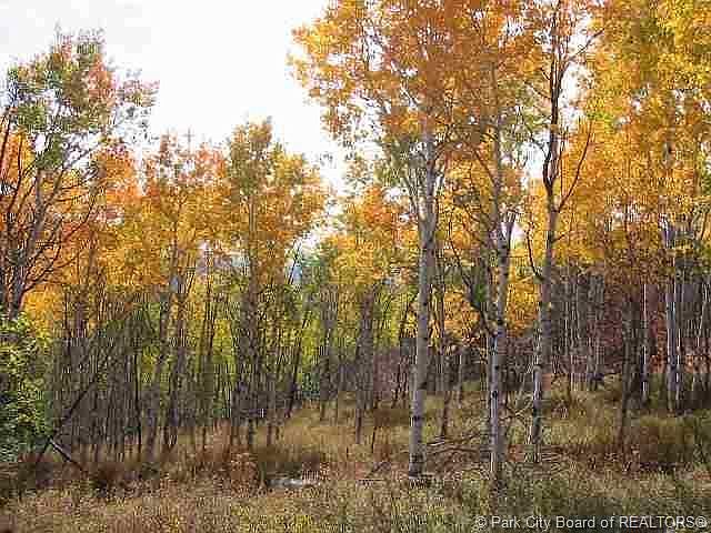 1st image of Pine Meadows D 92