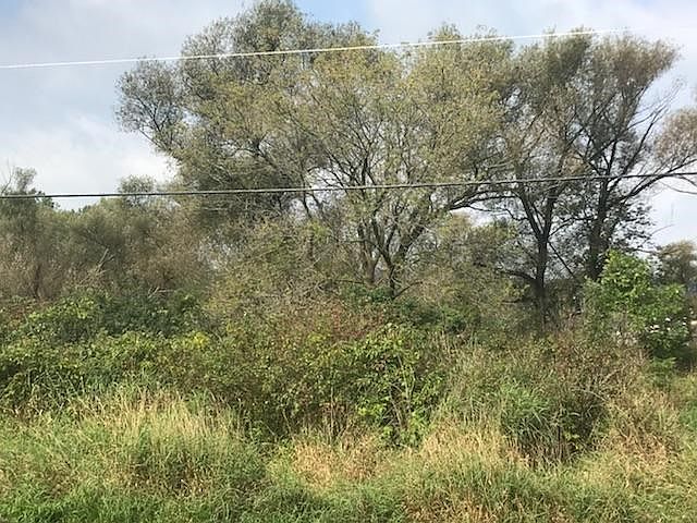 2nd image of Red Cedar Dr