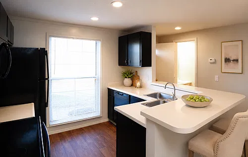 Prime Apartments & Townhomes at Ridgeway Photo 1