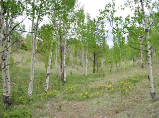 5942 County Road 1, Cripple Creek, CO 80813