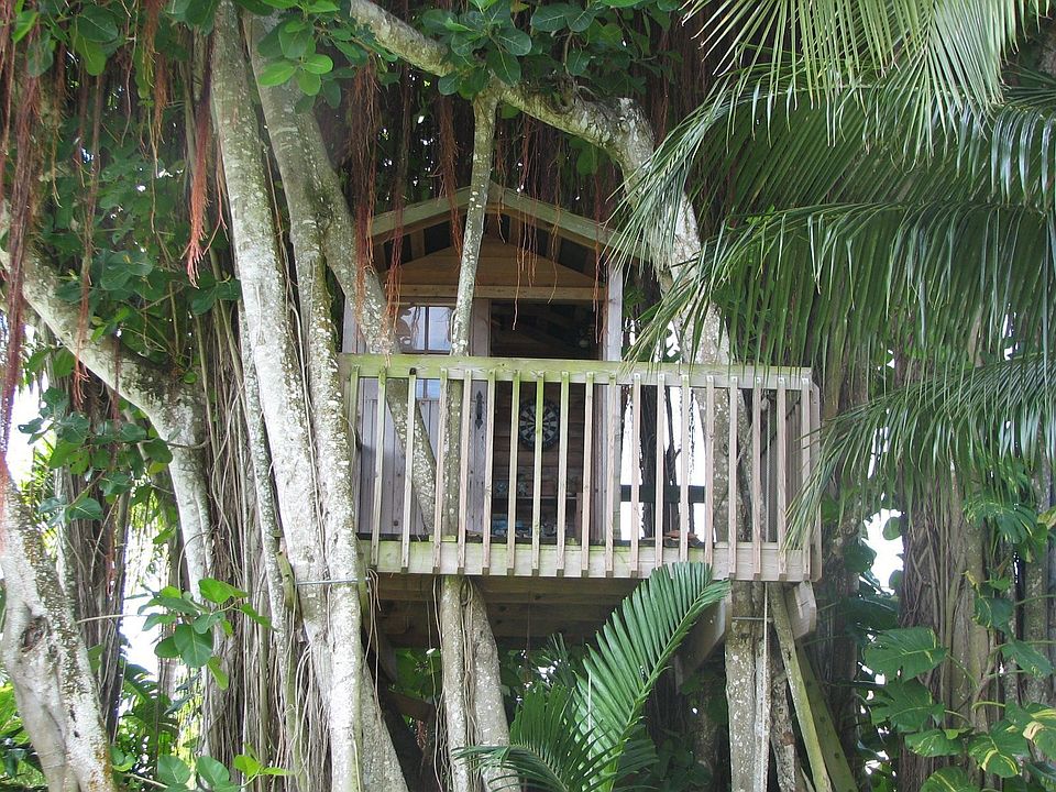 Tree House