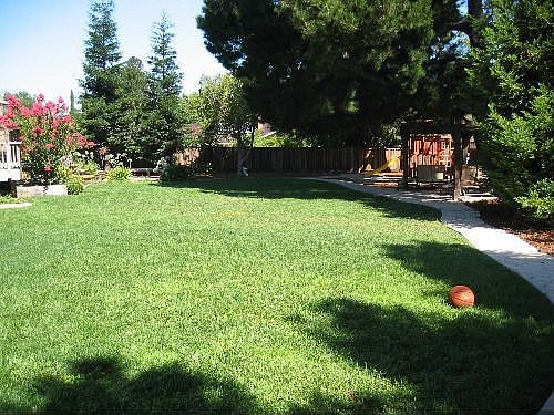 Rear Yard