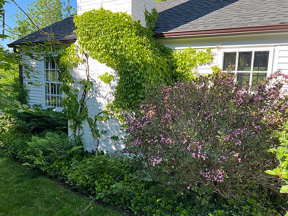 gardens in springtime