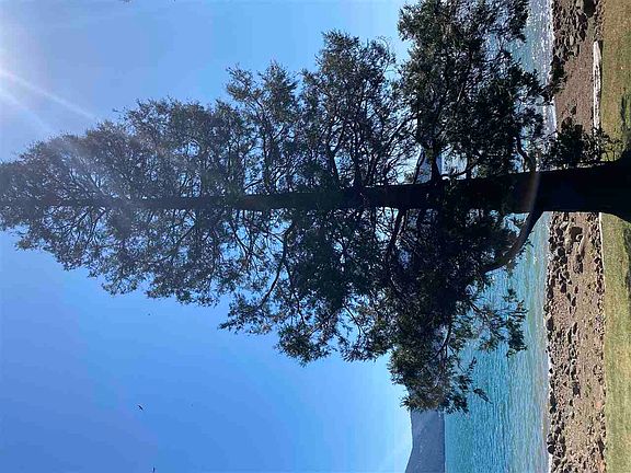 5th image of 968 Peninsula Dr
