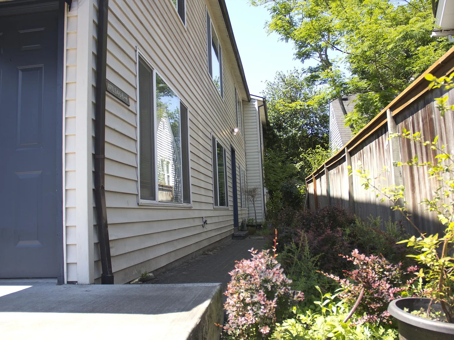 Lower 1bed, s/s appliances, open concept, off street parking, all dogs welcome! — Photo 4