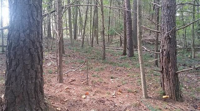 2nd image of N. Five Forks Rd.