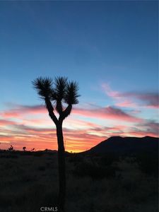 59990 Mitch Ln, Landers, CA, 92285
