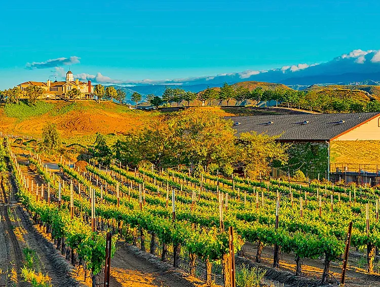 Short drive to Temecula wine country