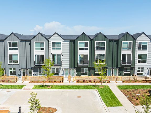 Lupine Longmont