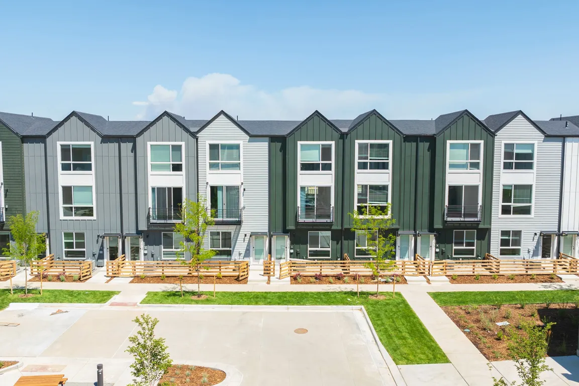Lupine Longmont