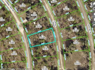 14204 Ermine Owl Rd, Brooksville, FL 34614