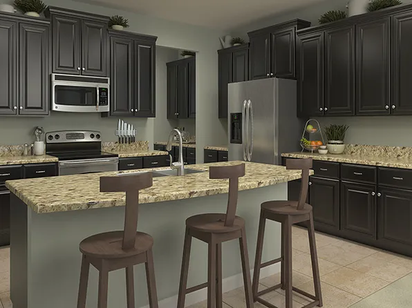 11008 Purple Martin Blvd, Riverview, FL 33579