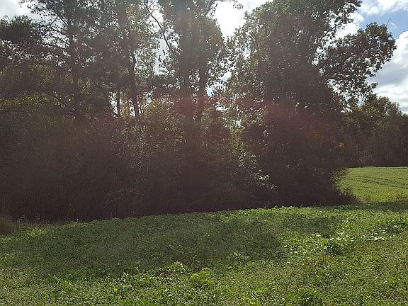 Midpoint of West border