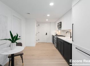52 Leo M Birmingham Pkwy #607, Brighton, MA 02135