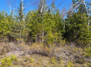 Pineview Dr, Presque Isle, MI 49777