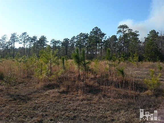 3rd image of 8 Pinnacle Pkwy Parkway