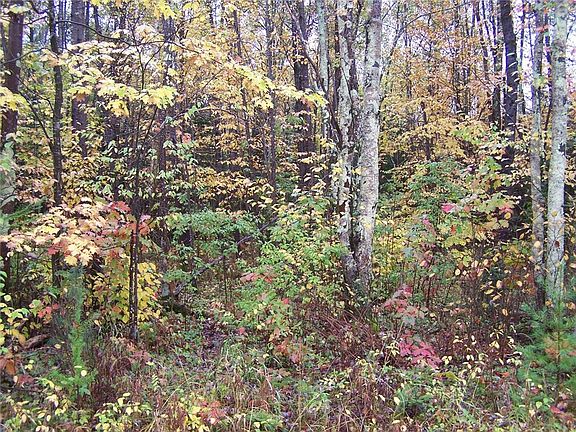 2nd image of 0 N South Clover Road