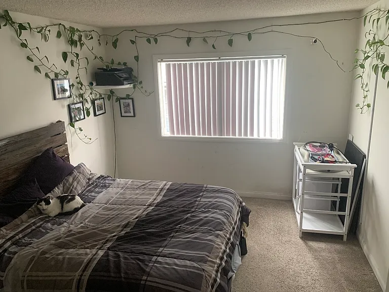 La Pacifica Apartments — Photo 14