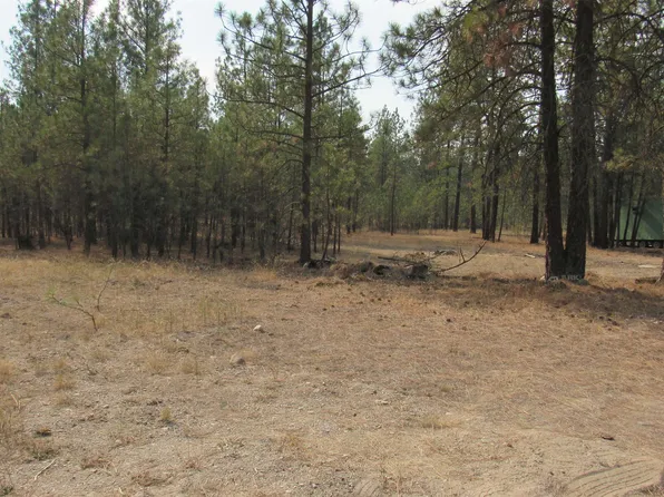 7732 Wicker Drive Way, Ford, WA 99013