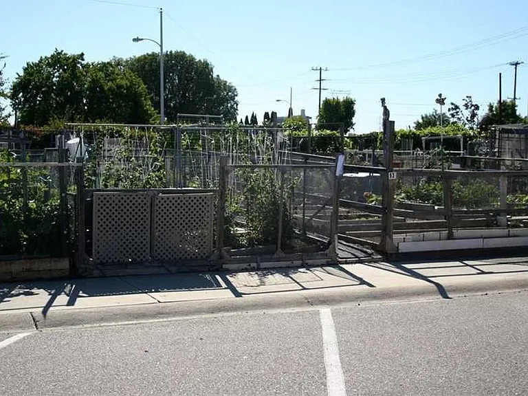 Community Garden