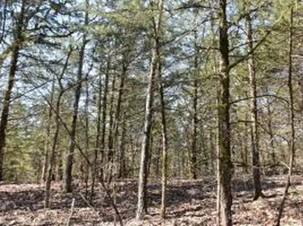 000 Us Highway 65 S, Highlandville, MO 65669