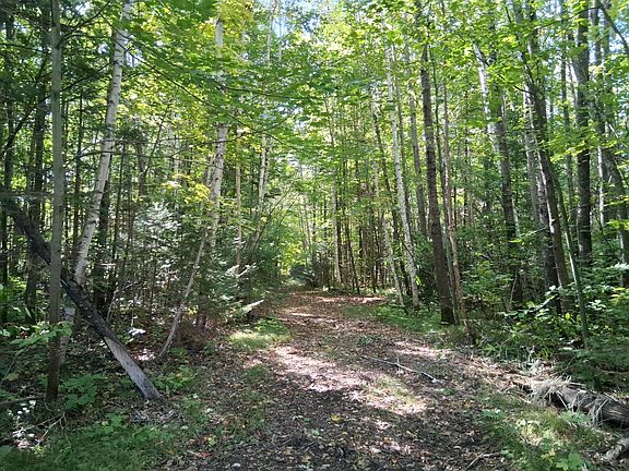 3rd image of 20 National Trail Star Lake Rd