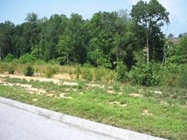 114 Rosecliff Dr, Fall Branch, TN 37656