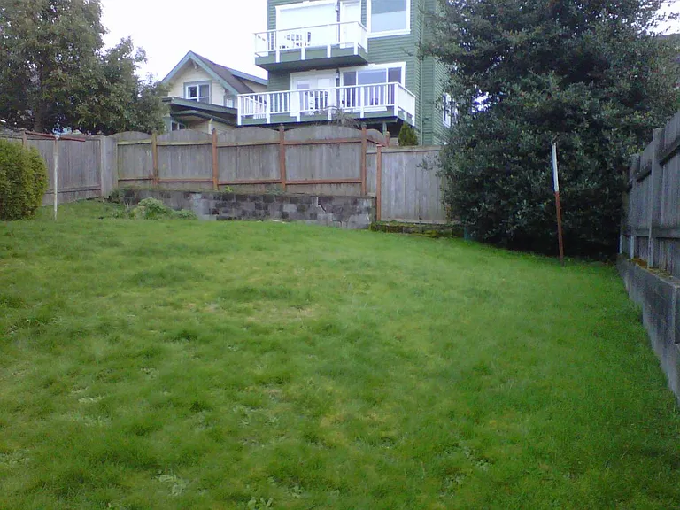 Large backyard