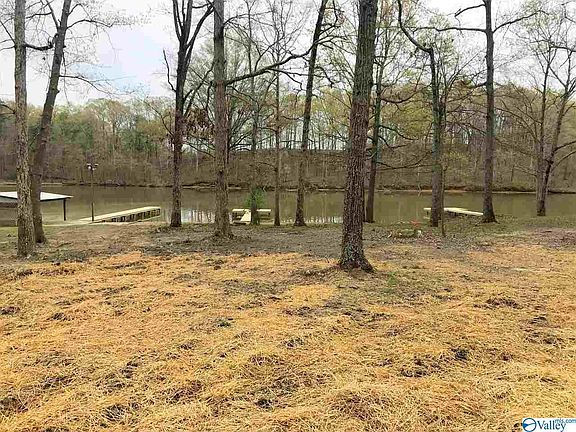 3rd image of 720 County Road 212