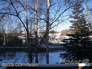Back Yard View
