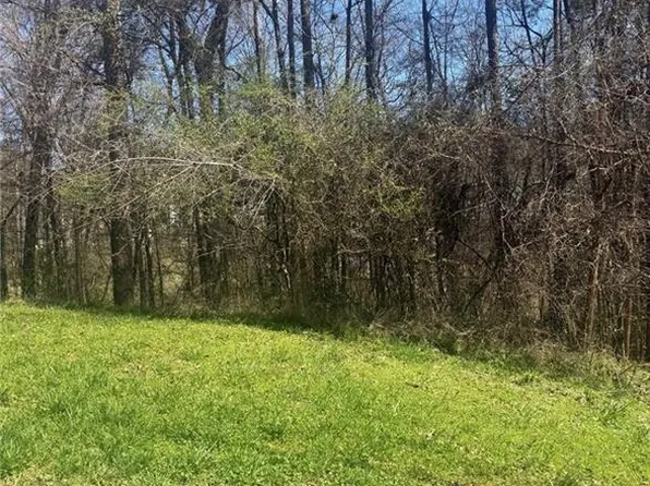 3740 Mountain Cove Rd Lot 19, Snellville, GA 30039