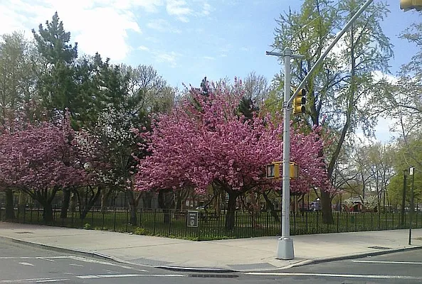 Rented by Bridge Realty | media 6