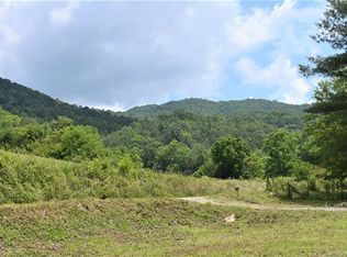 1008 Water Wheel Cv, Clyde, NC 28721