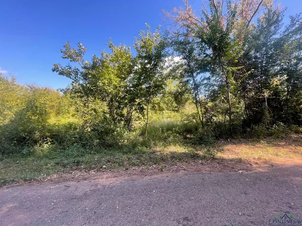 County Road 353 S Lot 2, Henderson, TX 75654