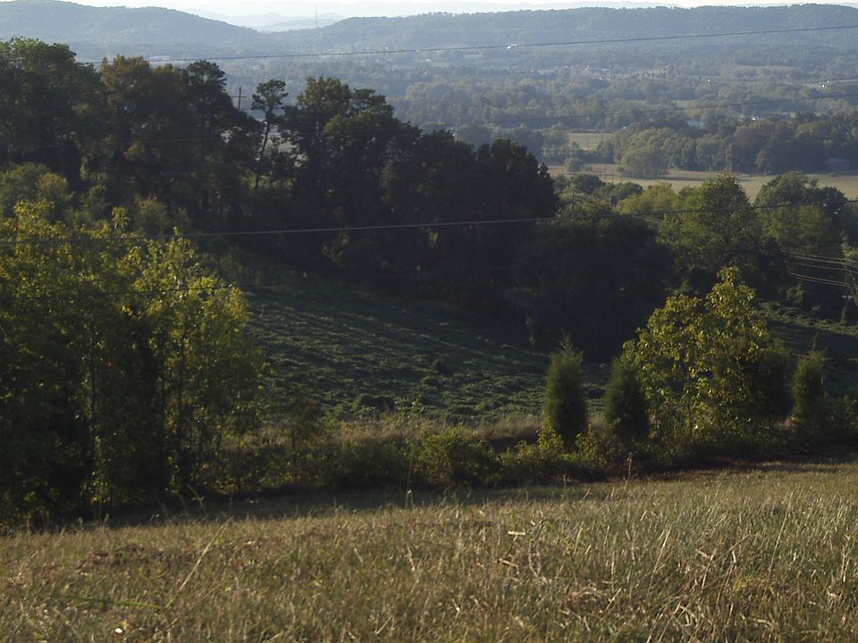 2nd image of 160 Forest Rd