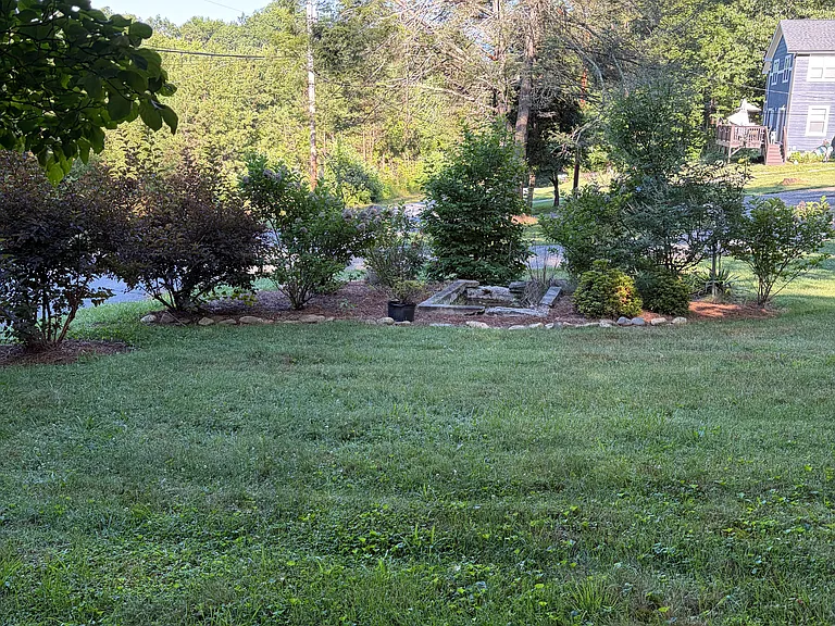 Front Yard