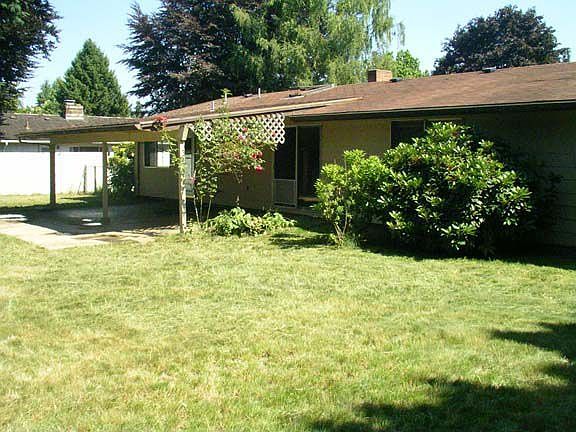 Back yard