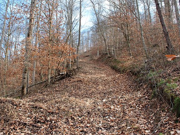 One of the many network of roads throughout the property