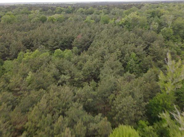 (undisclosed Address), Hamburg, AR 71646